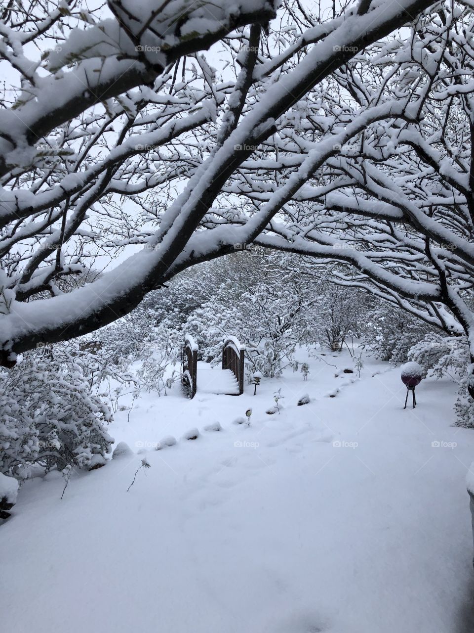 Snow covered bridge