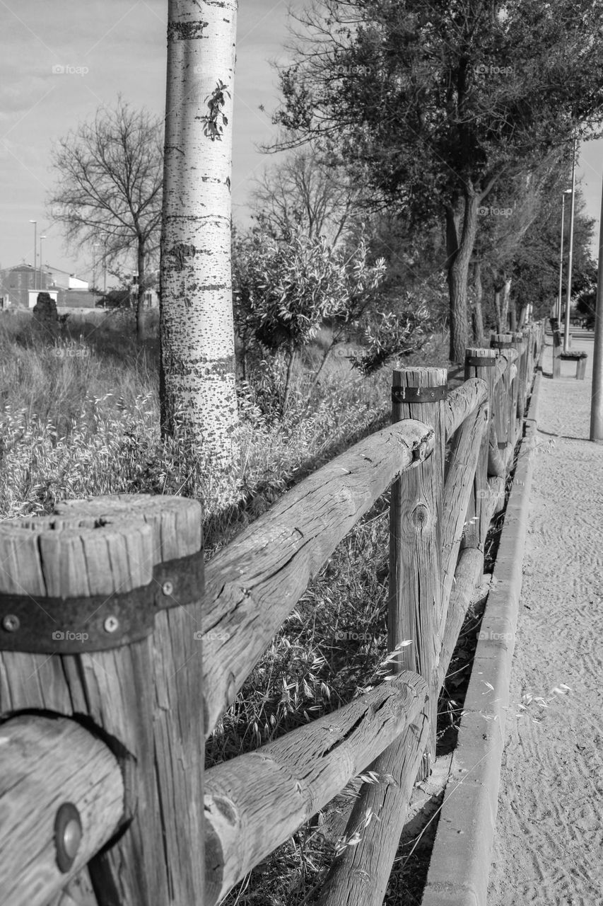 Black and white pathway