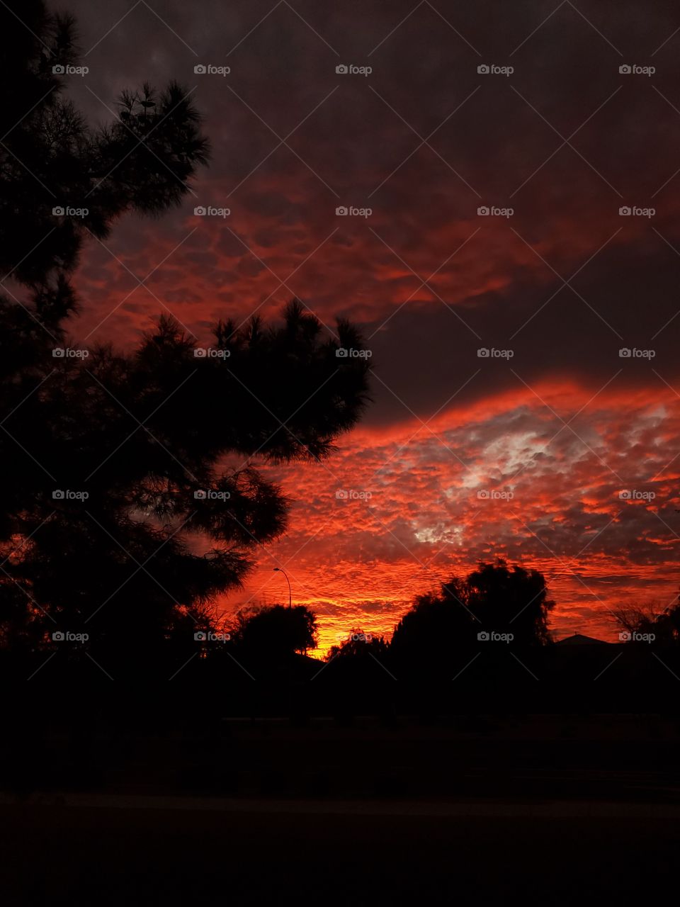 The sky looks more like a lava flow during an incredibly intense Arizona sunset
