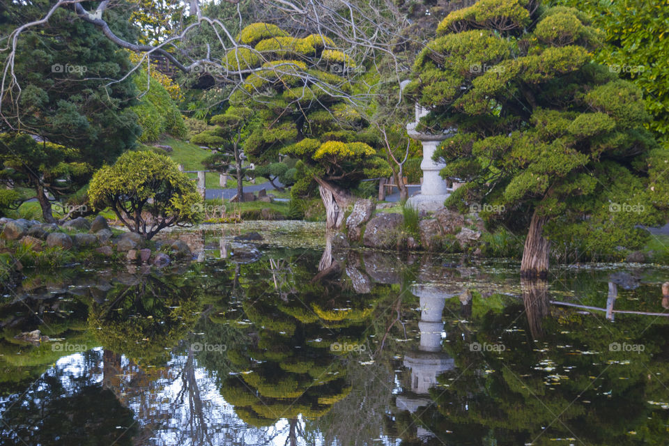 THE JAPANESE GARDEN AT THE GOLDEN GATE PARK