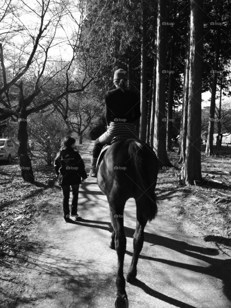 horse‐riding
