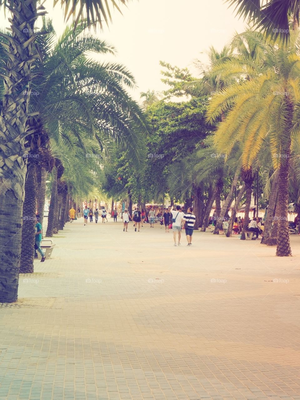 People walking on the beach walk surrounded with green palm trees.