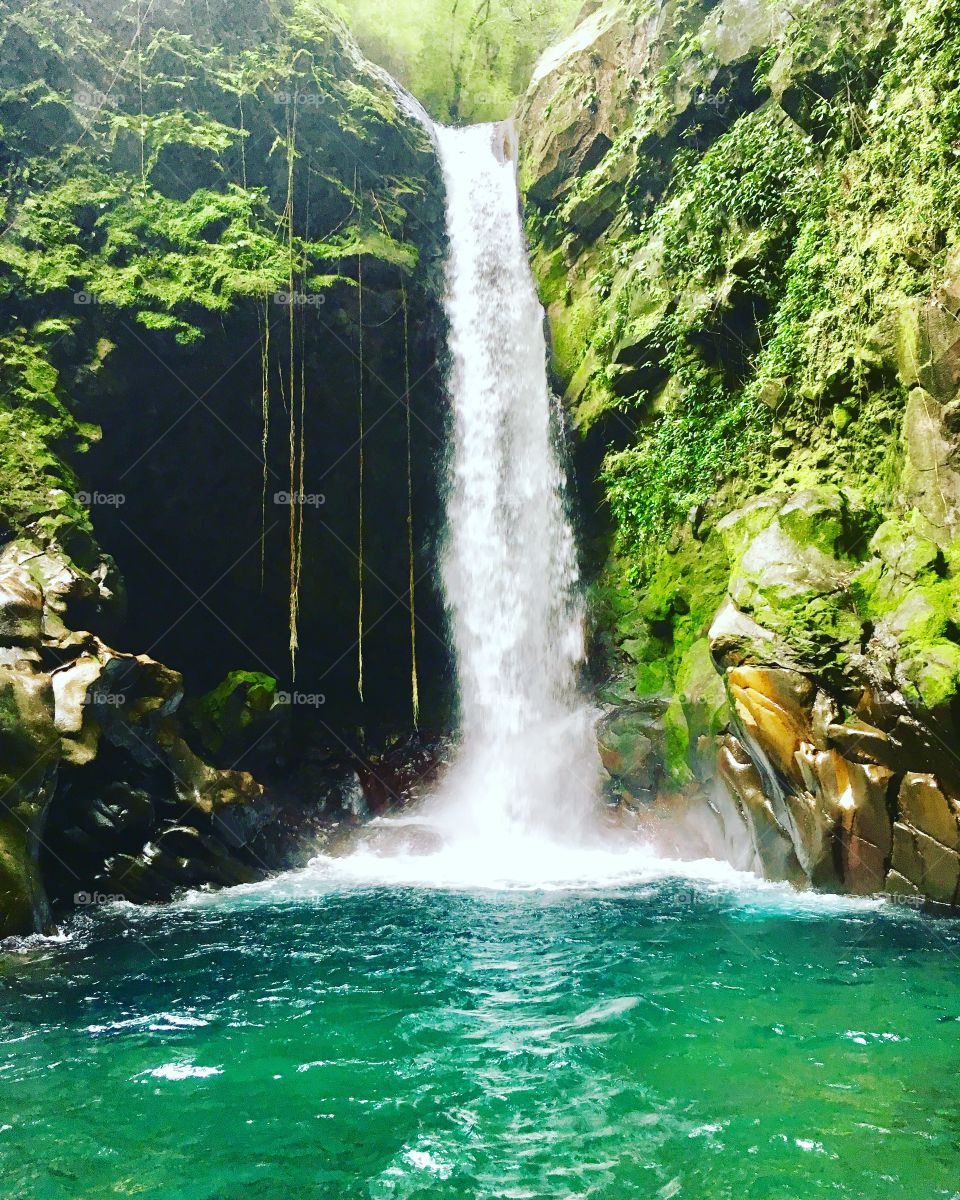 Oropendola Waterfall, Rincón de la Vieja National Park, guanacaste, Costa Rica 