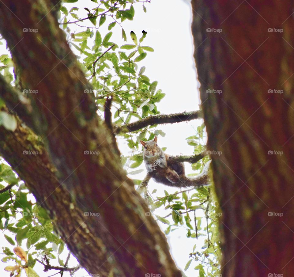 What you looking at?