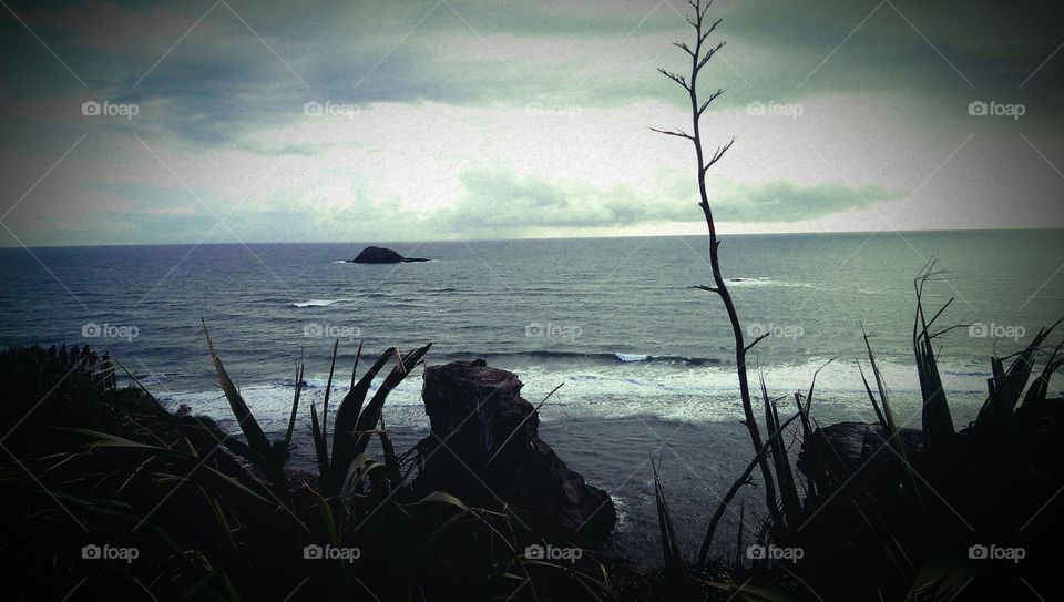 westcoast in new zealand. i was surfing down the hills