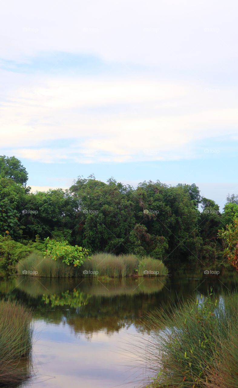 lake garden with blue sky
