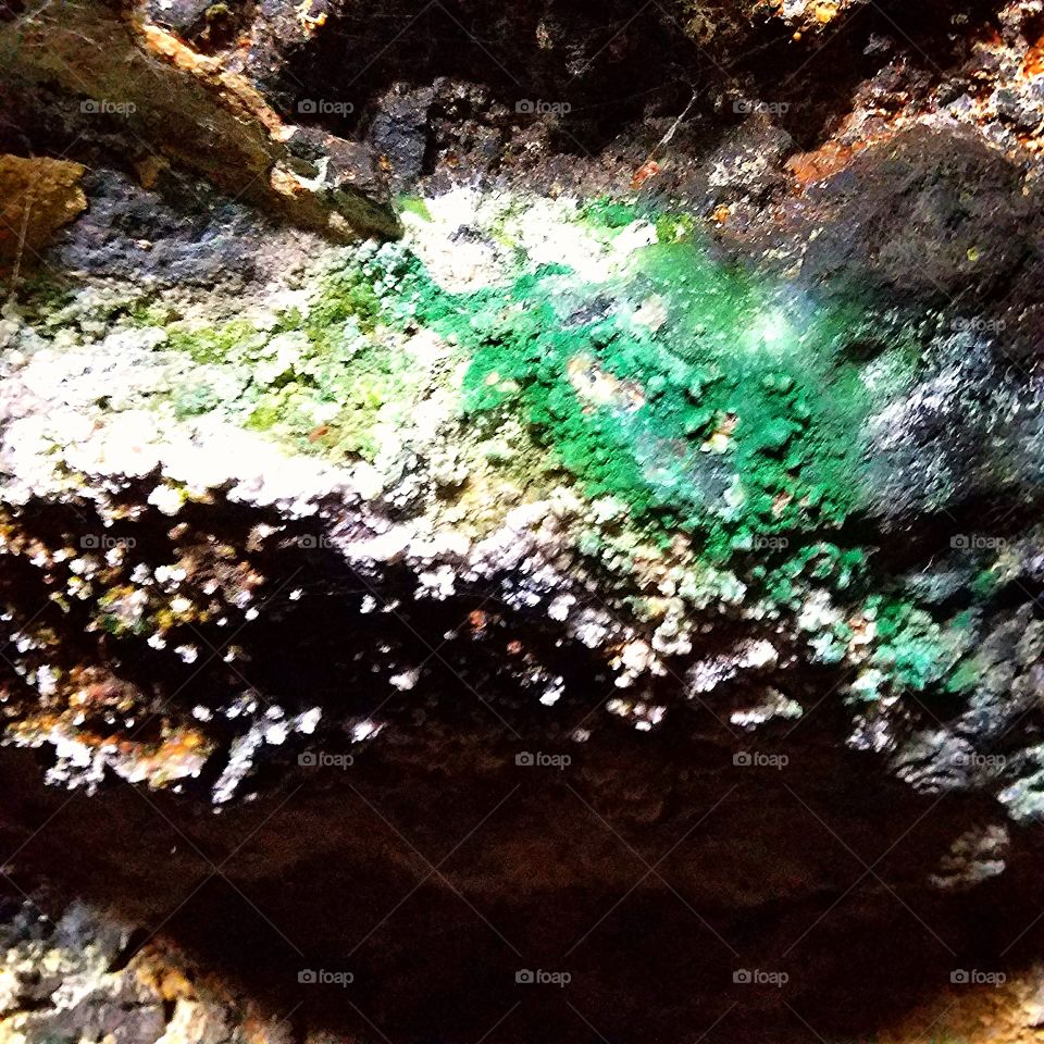 green algae growing on rocks inside a beatuful cave