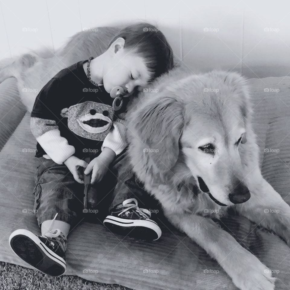 A boy and his dog 