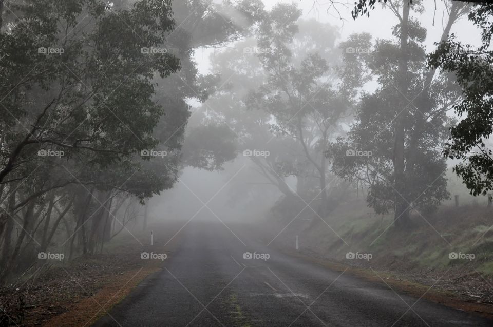 Road passing through foggy weather
