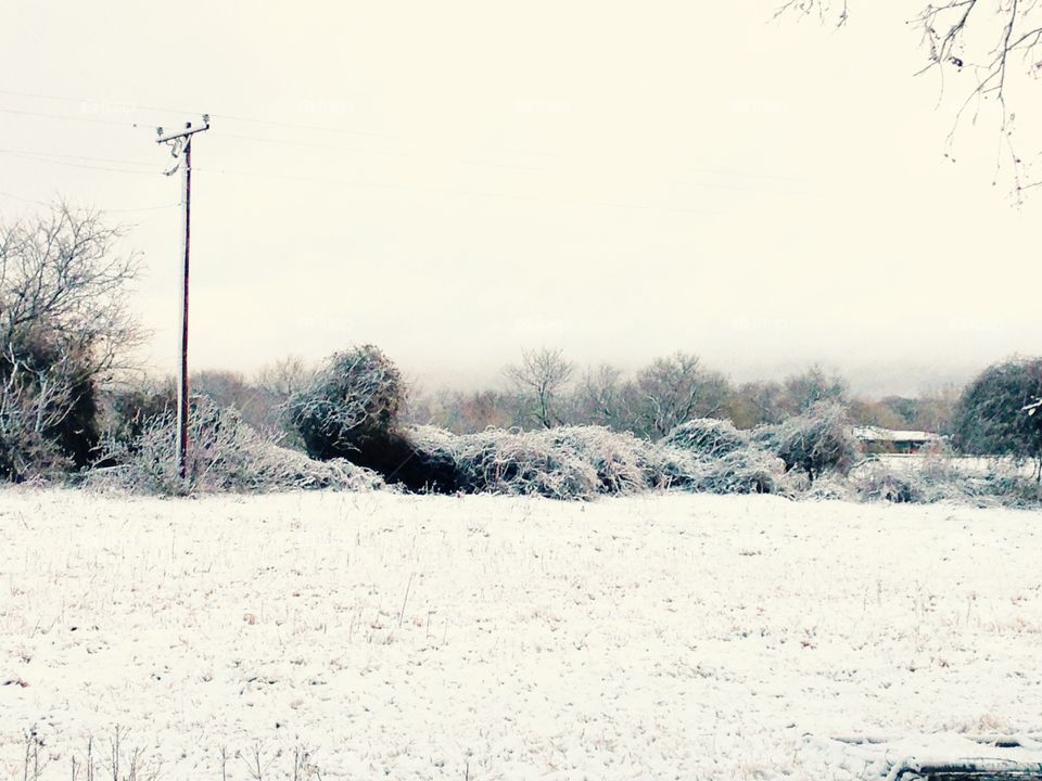 Snow covered fence line. 