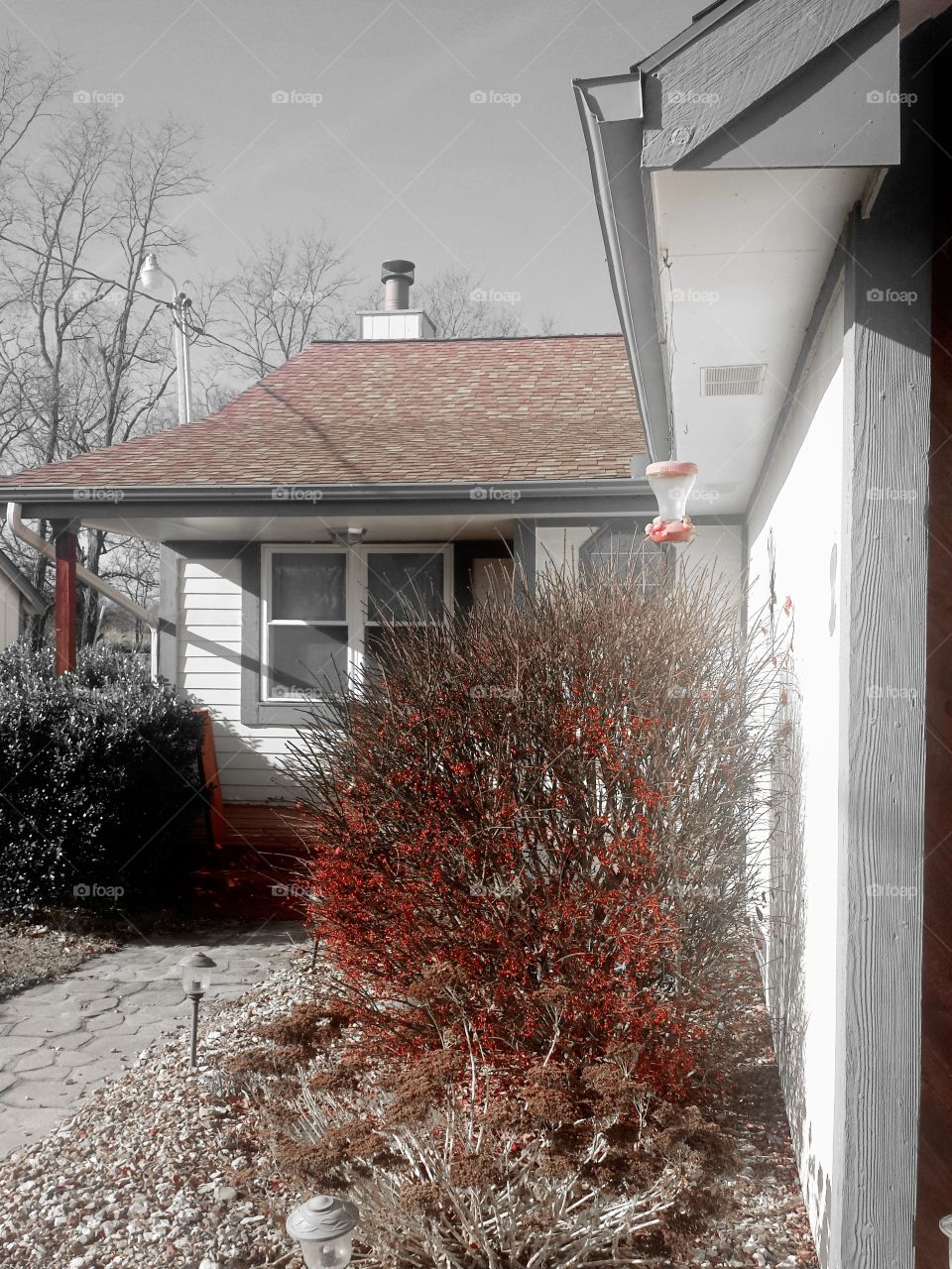 little dream house views