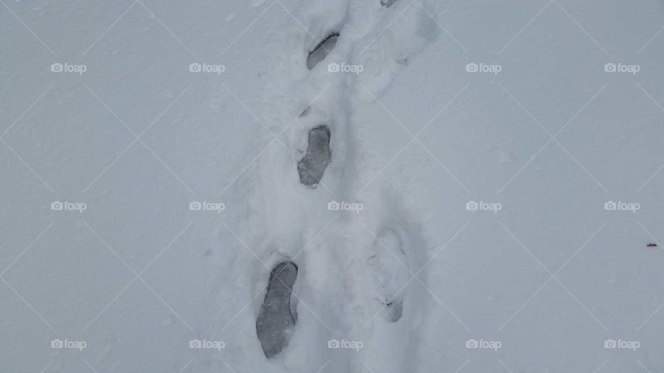 footprints in the snow