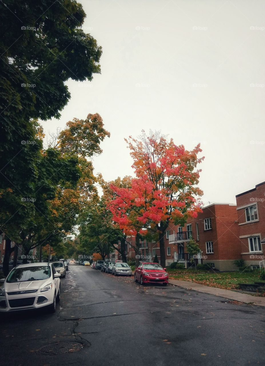 Autumn in the city.