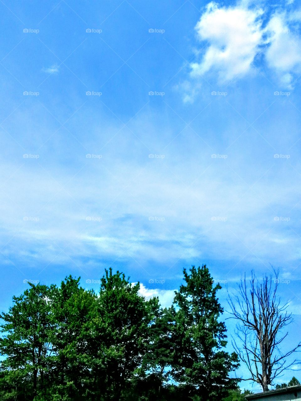 Blue Skies II. More blue skies in my area.