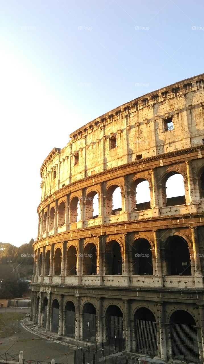 colosseum, Rome Italy