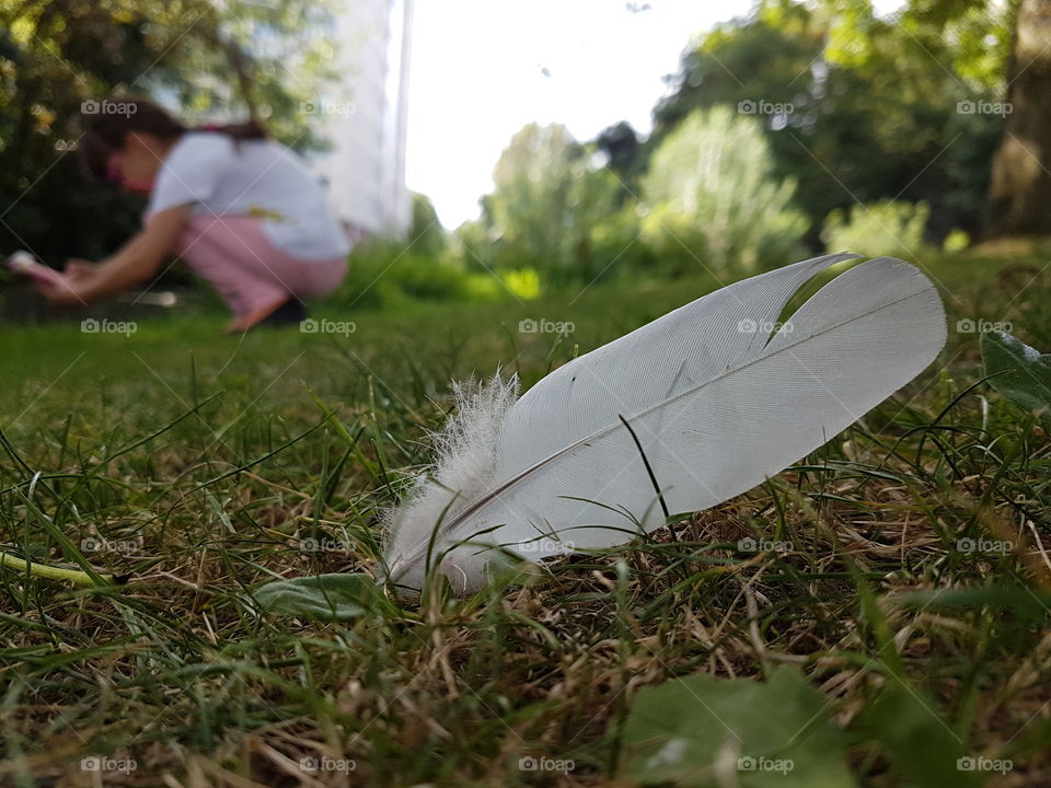 Feather on the grass and girl
