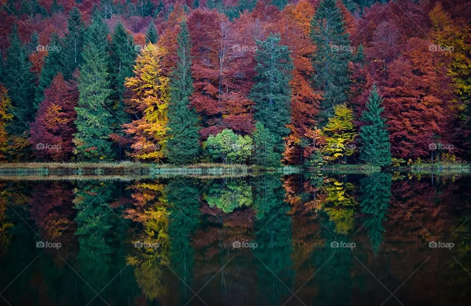 Amazing nature 