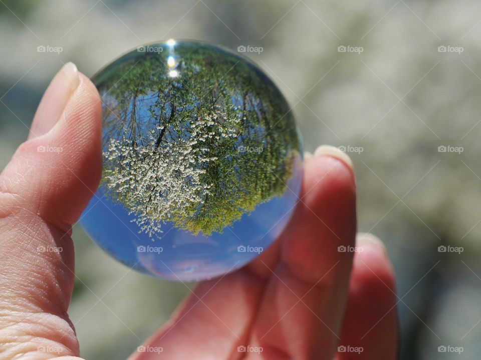 Lensball spring reflection