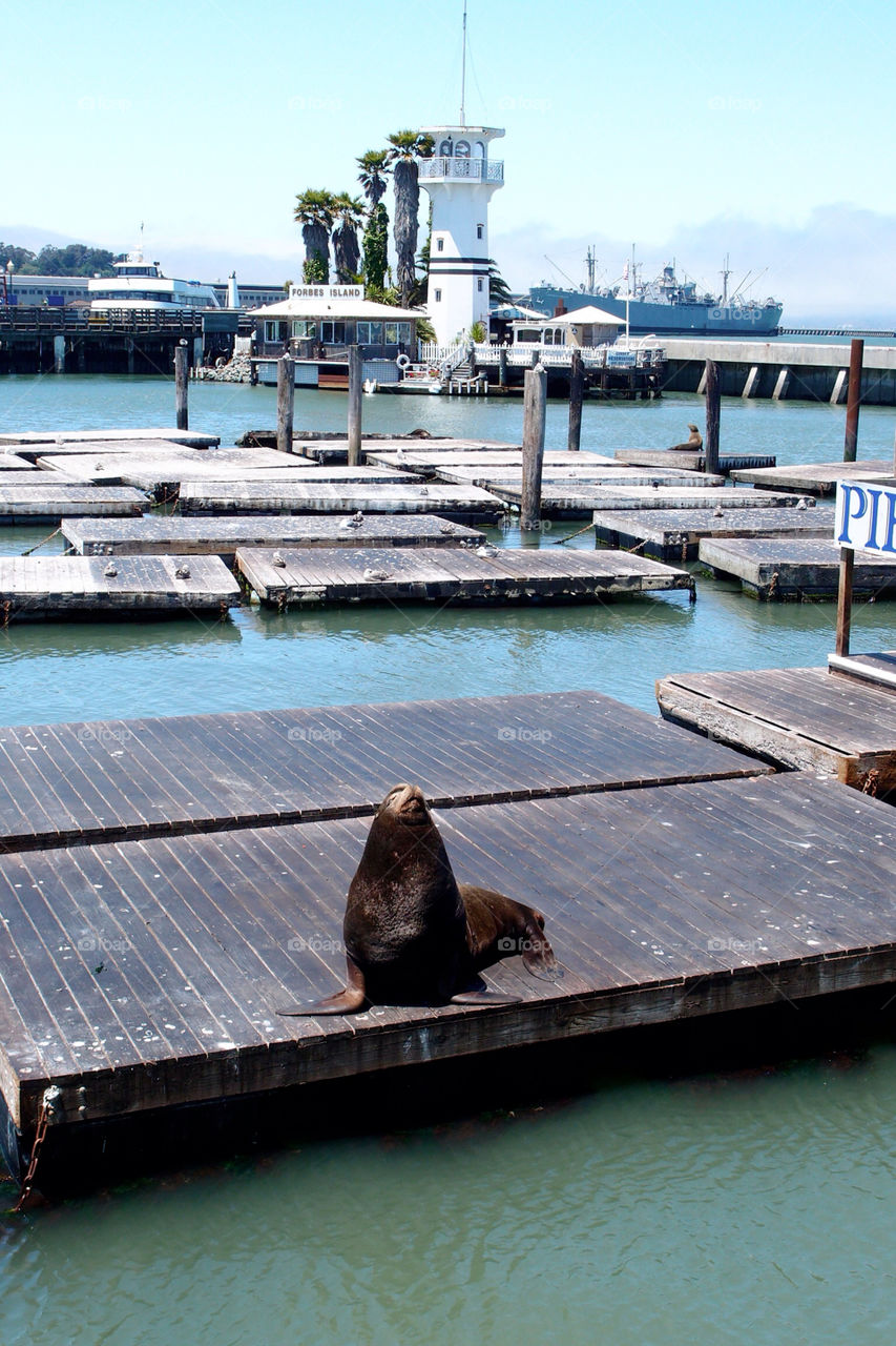 wood alone water port by lenusik