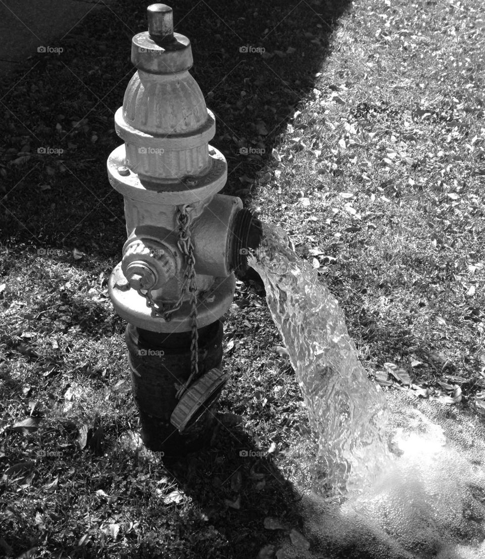 Fire hydrant water flow