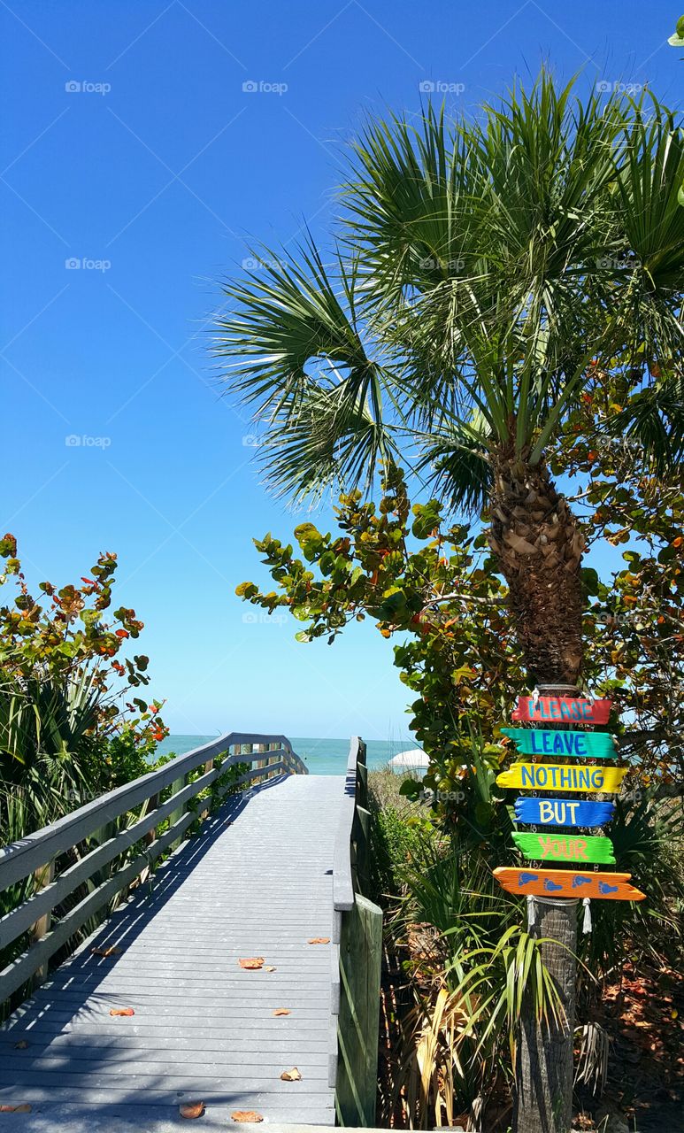 Adventure here I come!
Just beyond the bridge is Indian Rocks Beach Florida. It's time for a long walk enjoying the sun, sand, and treasures we'll discover along the way.