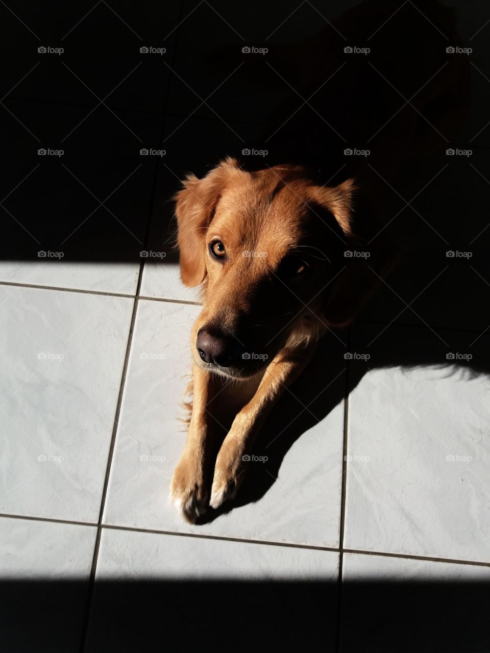 My boy under the sun!