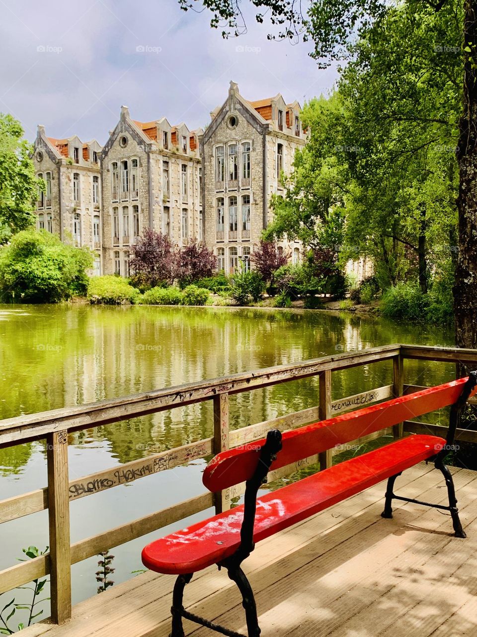 Bench with a view 