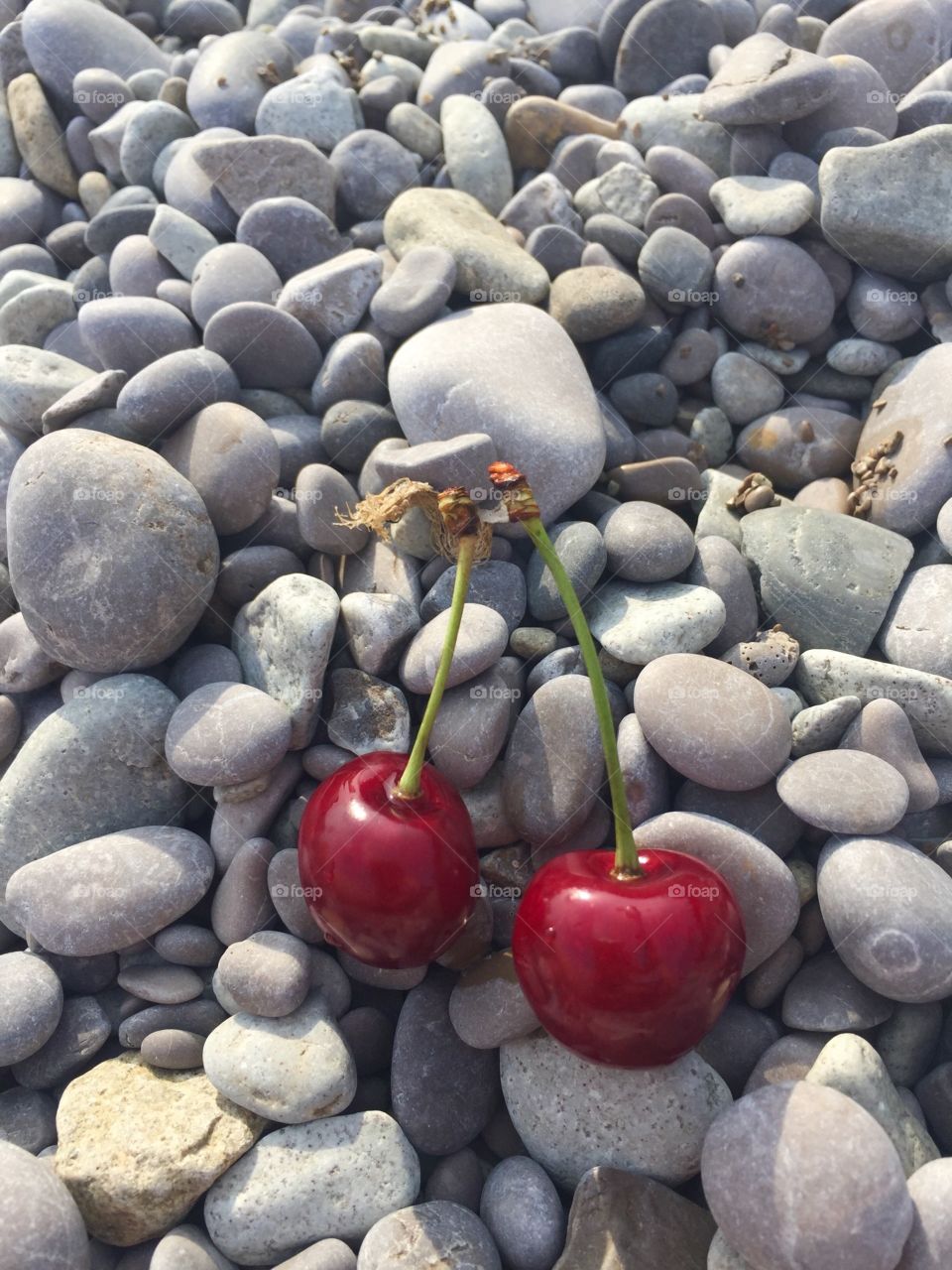 Cherries