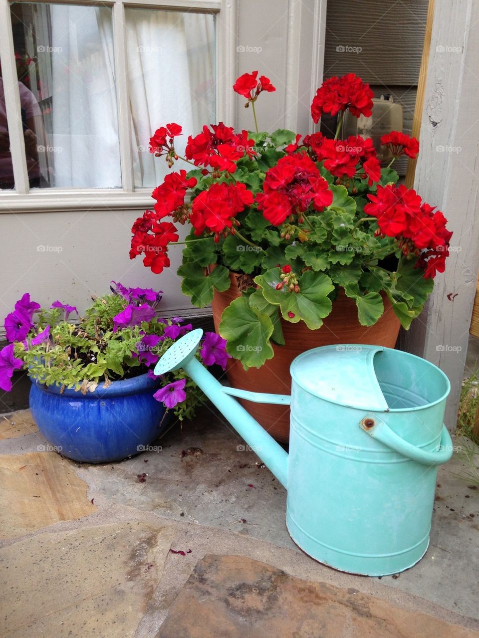 Flower pot watering can