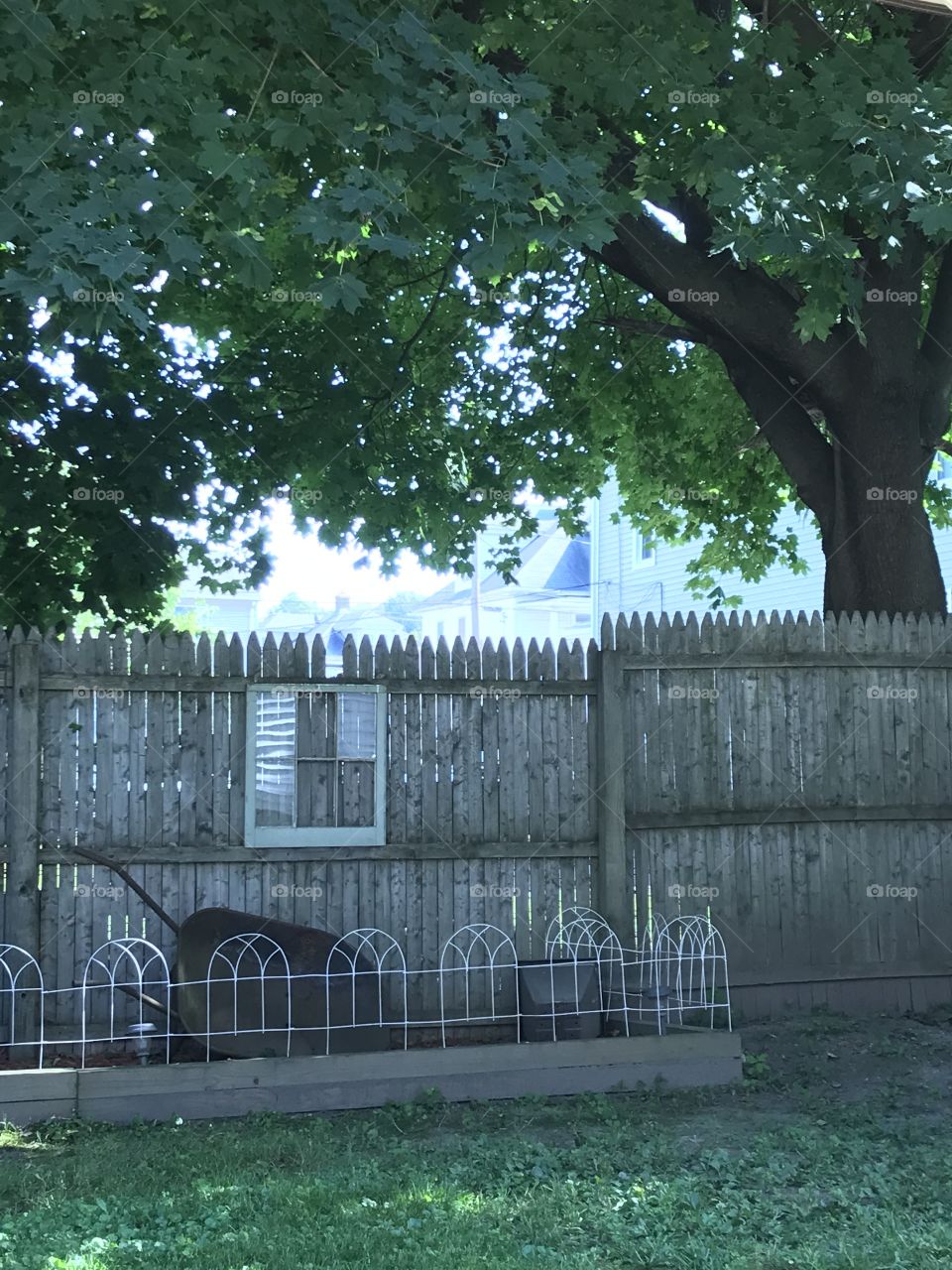 Fence with tree and windows