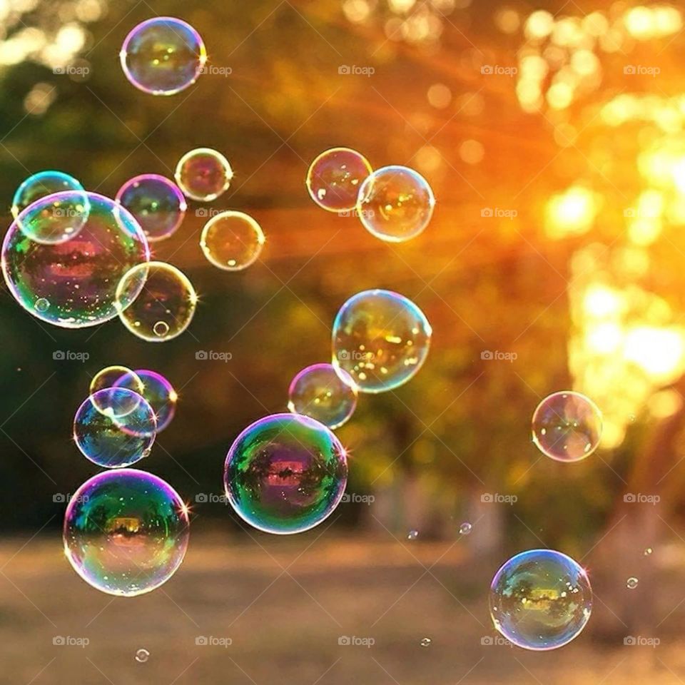 Soap bubbles and nature