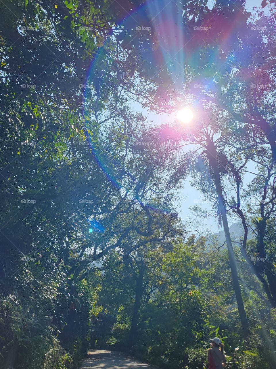 Sunny day hiking at Hong Kong Kadoorie Farm