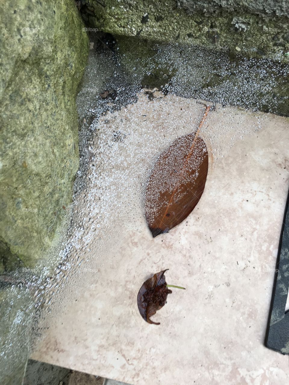 Rain drops on spiderweb 