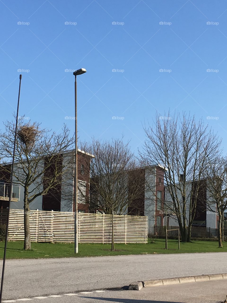 No Person, Tree, Fence, Outdoors, Landscape