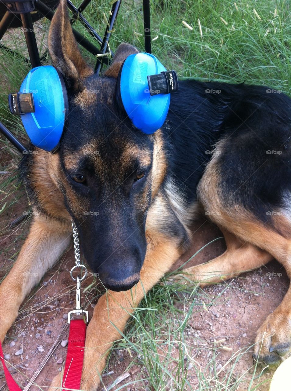 Ear protection 
