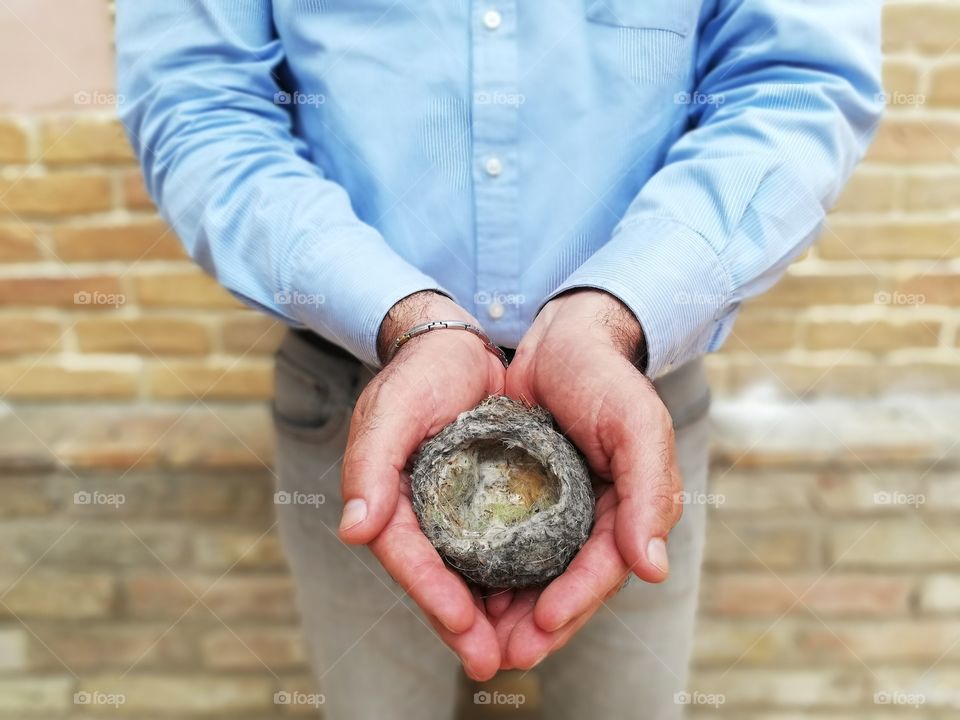 man holds in his hands an empty nest of birds