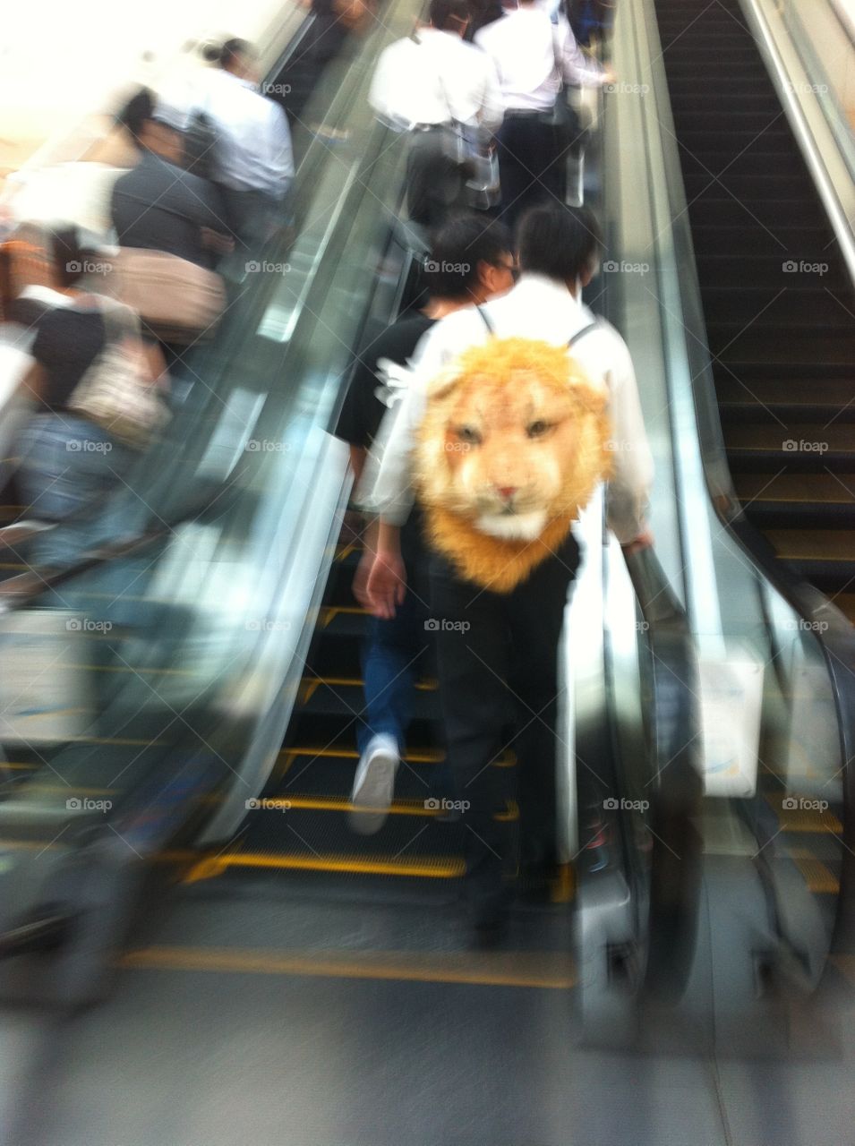 Lion backpack 