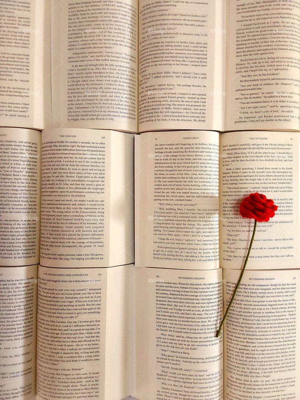 crochet rose on the book