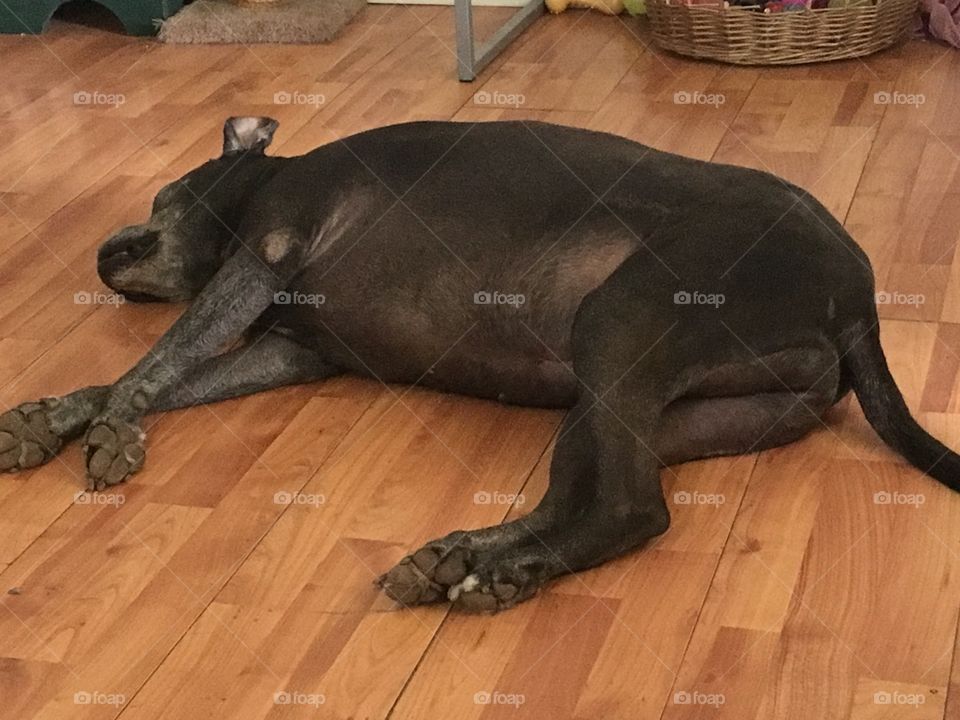 My 7 year old baby girl Kwanita all sprawled out on the floor like she had a hard day!