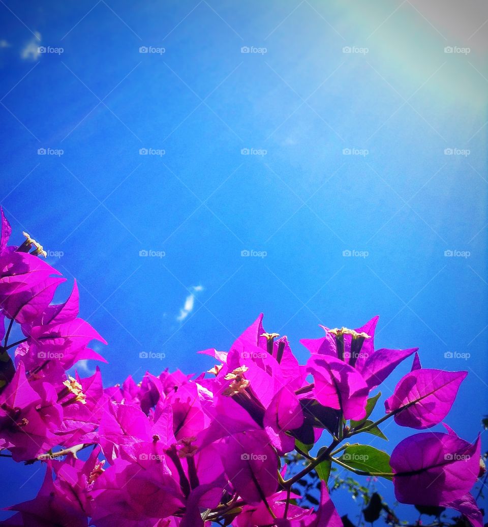 Making the most of the sun...