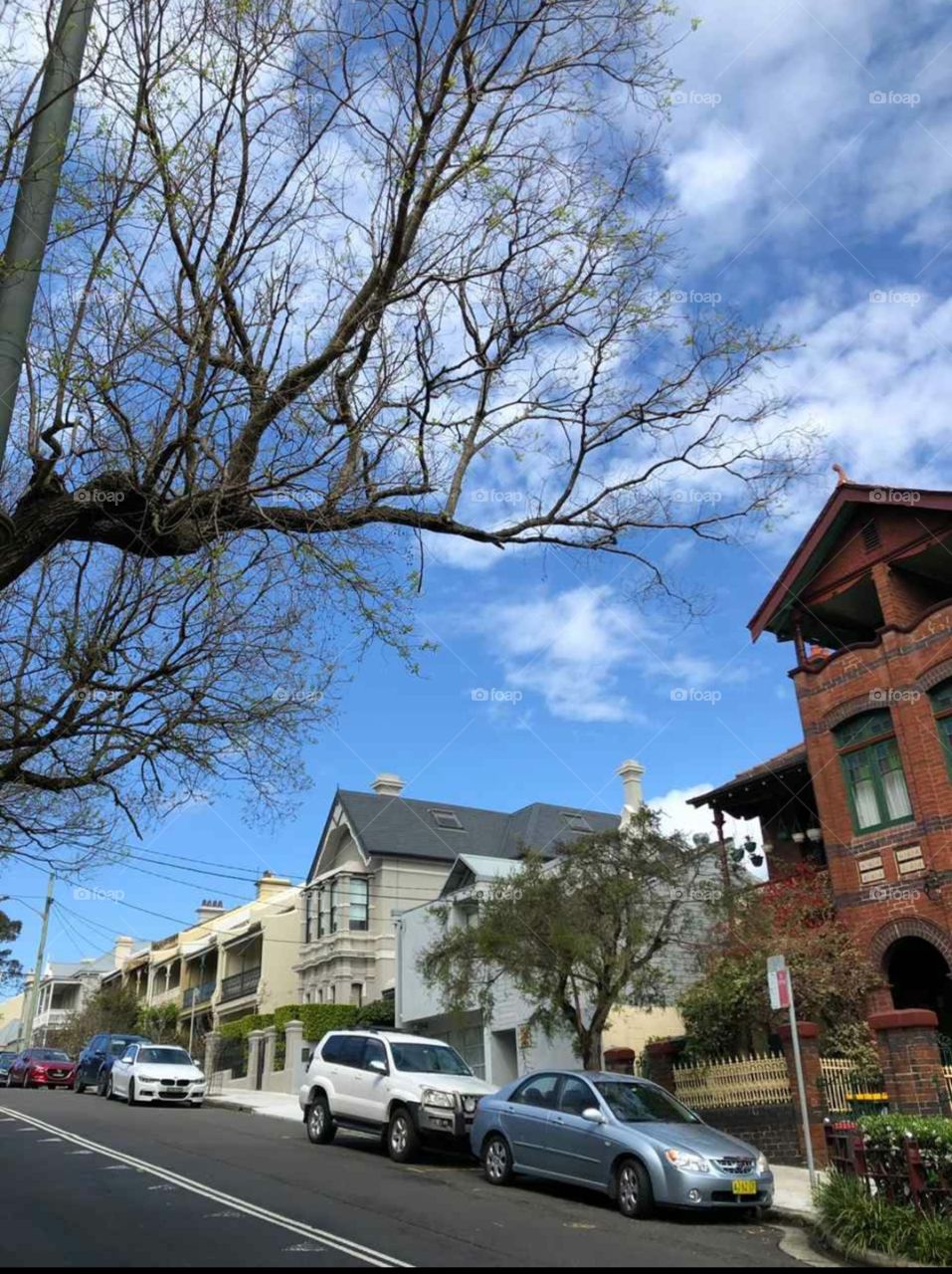 friendly neighborhood of Sydney, Australia in summer