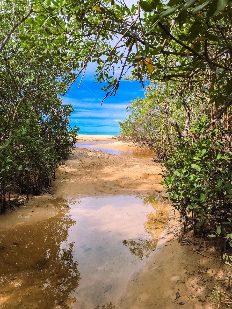 a beautiful river that gives access to the beach of Coroa Vermelha Bahia Brazil