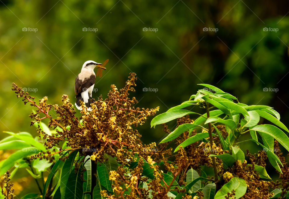 Pausa para um lanchinho.