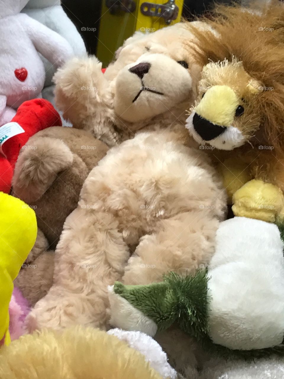 Stuffed animals 
