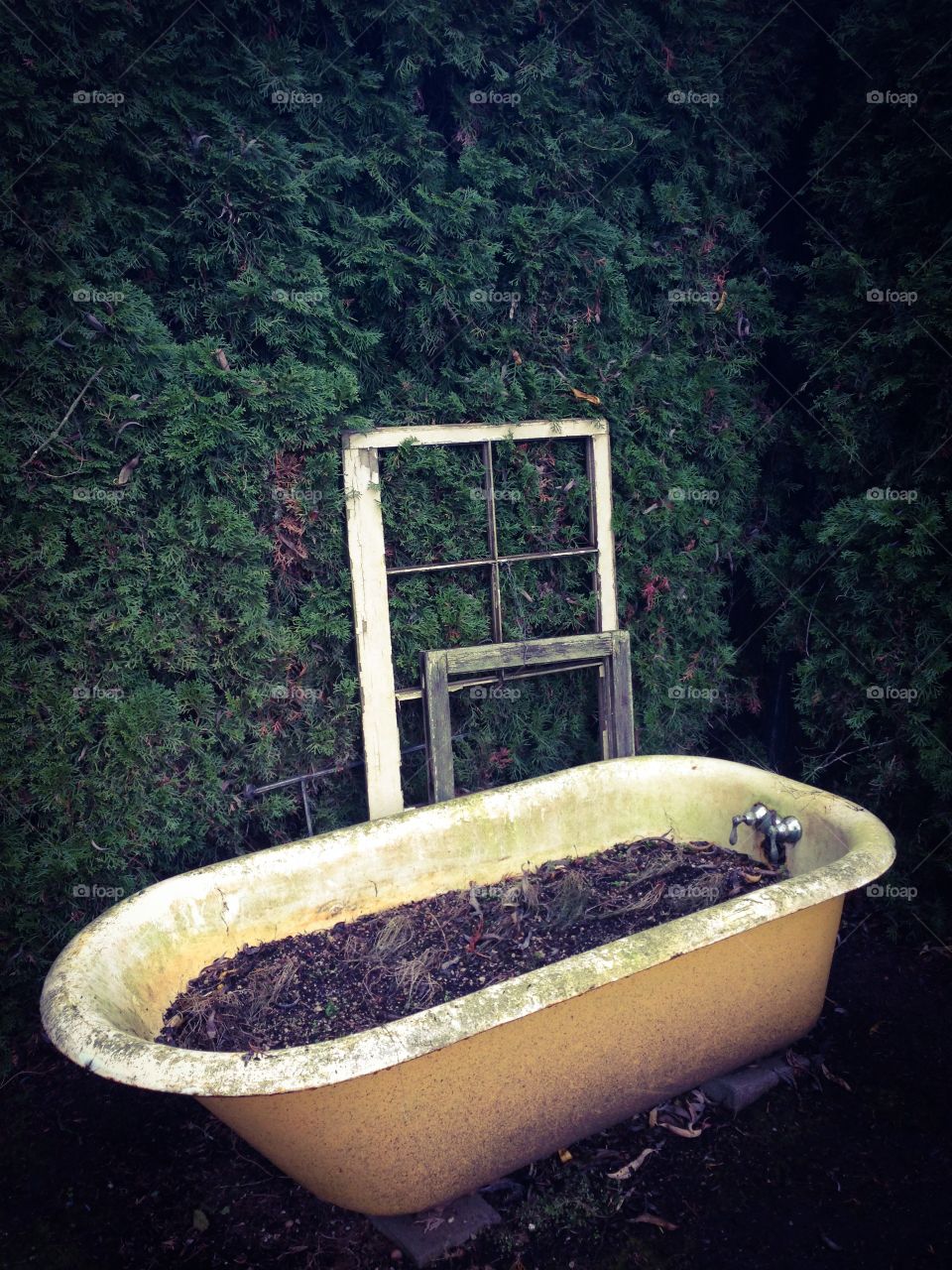 Abandoned bathtub