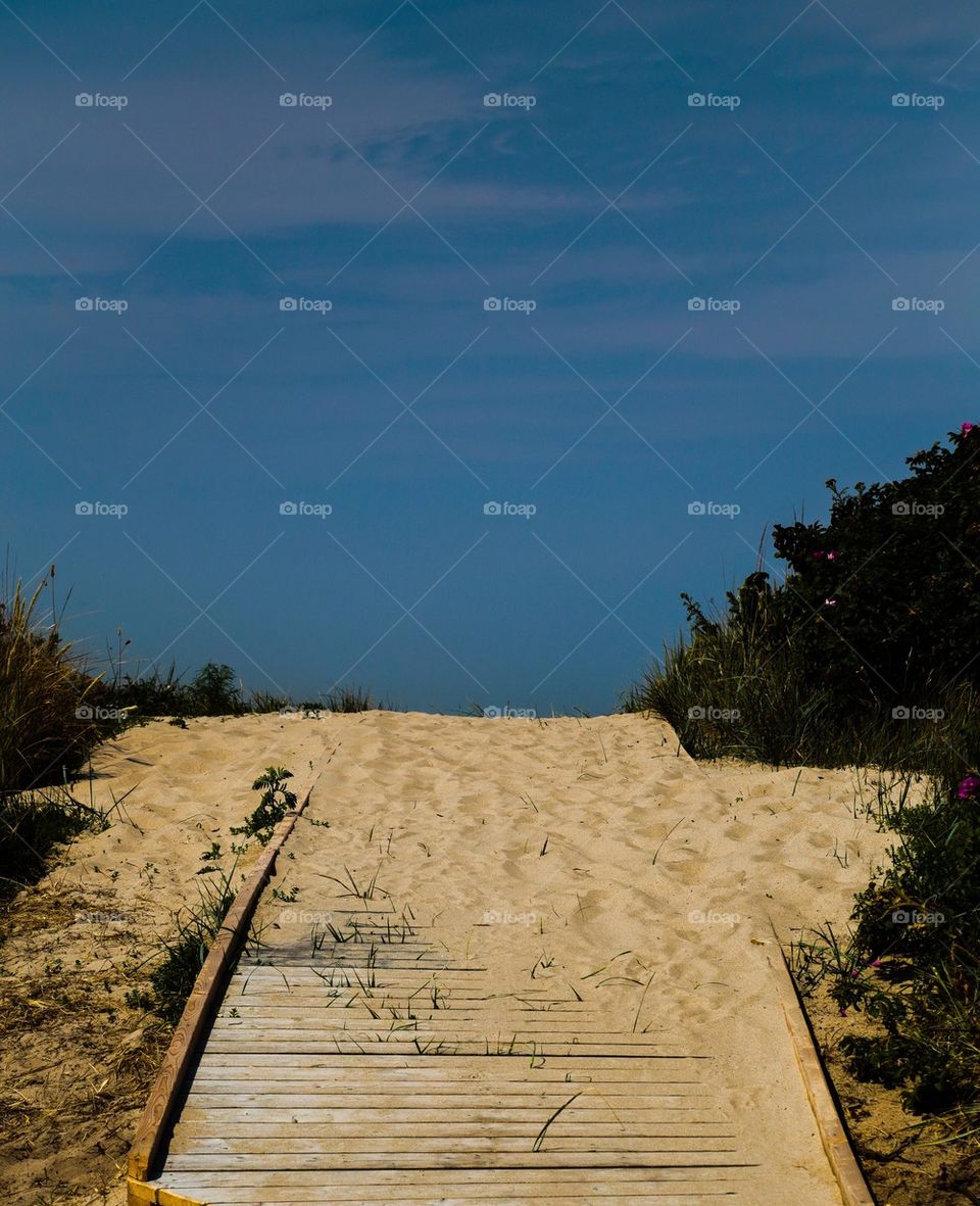 Beach path. Sandy path down to the beach 