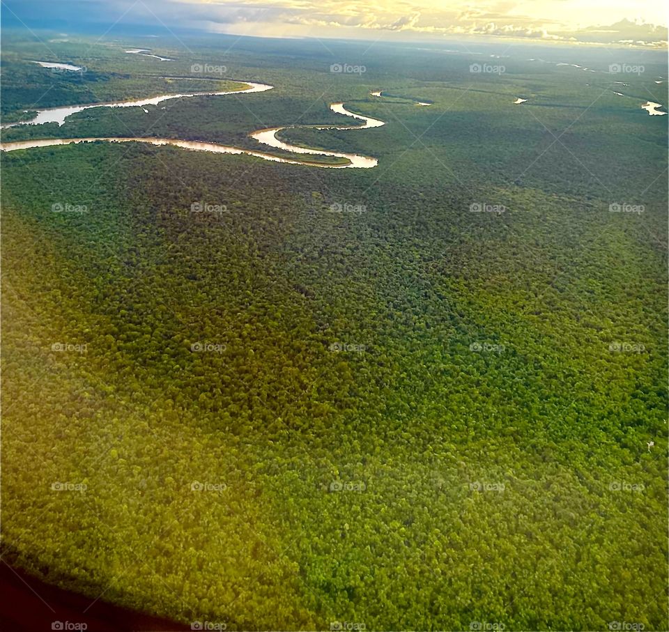 beautiful view of a Colombian jungle