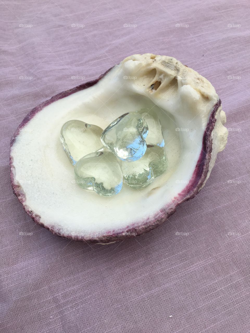 Hearts in shell