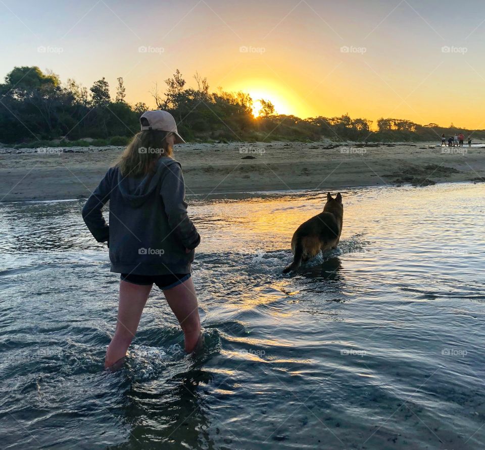 Wading through the river at sunset walk German Shepherd 