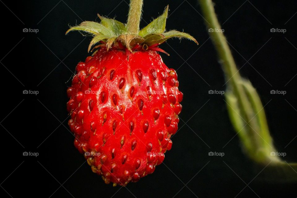 Strawberry